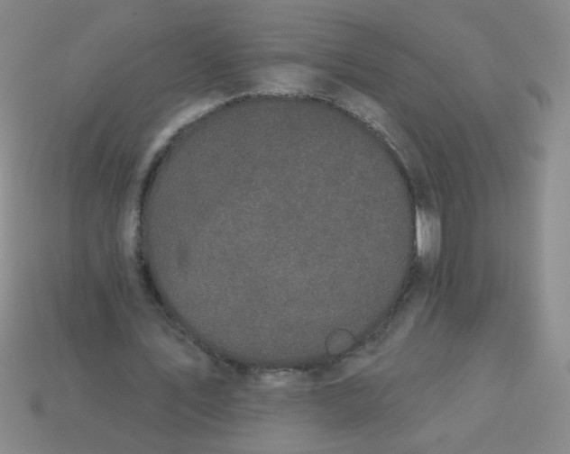 X0000113980579200910161624