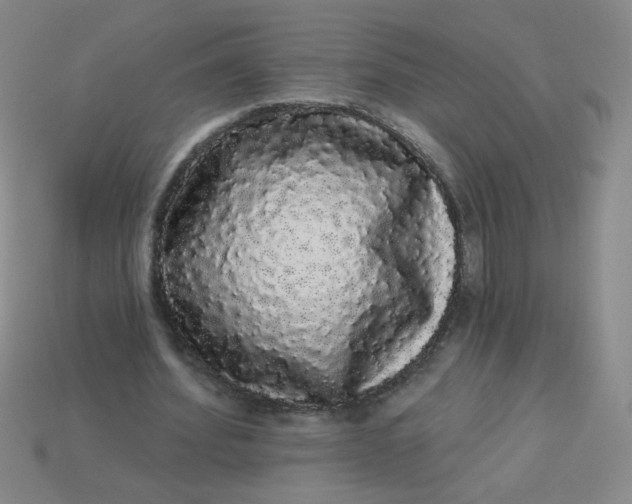 X0000113980580200910161624