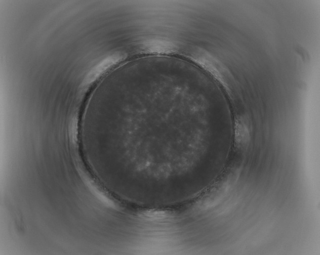 X0000113980581200910161624