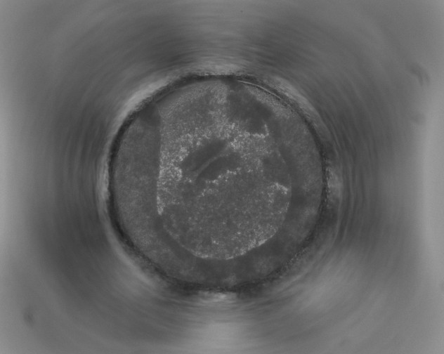 X0000113980582200910161624