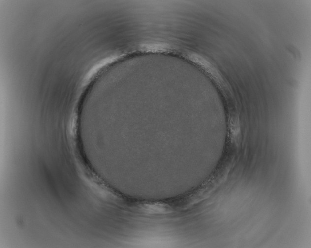 X0000113980583200910161624