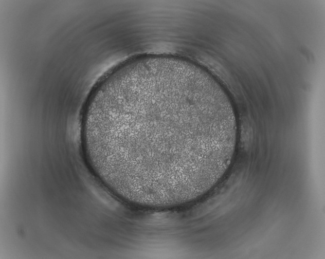 X0000113980584200910161624