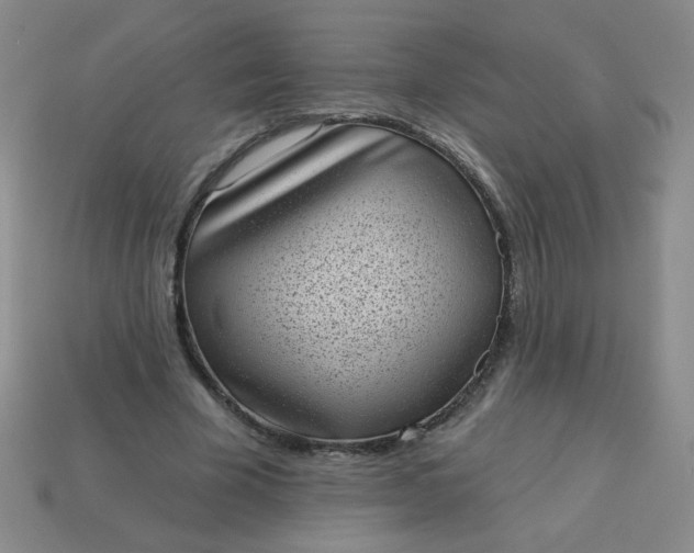 X0000113980585200910161624