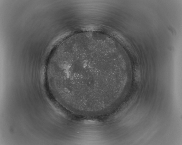 X0000113980586200910161624