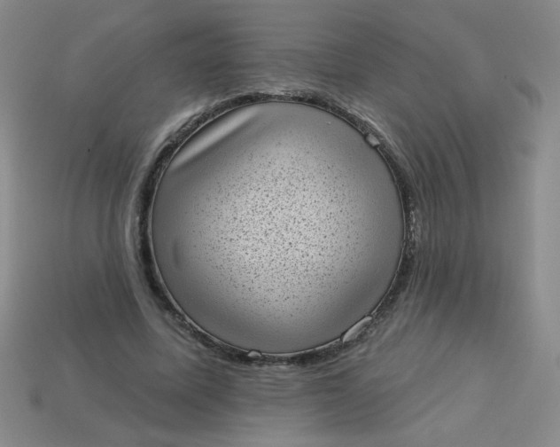 X0000113980587200910161624