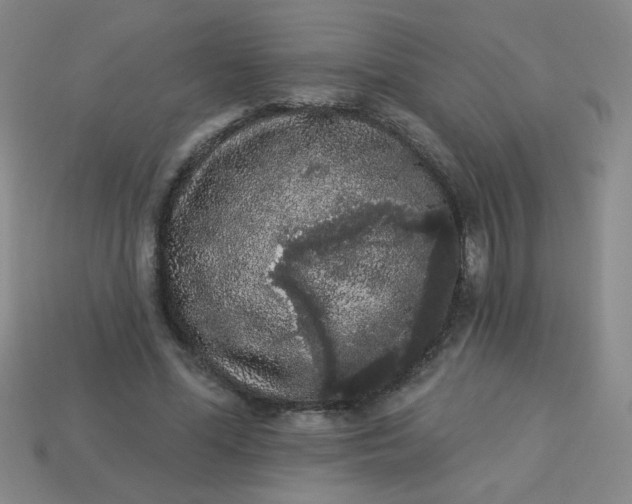 X0000113980588200910161624