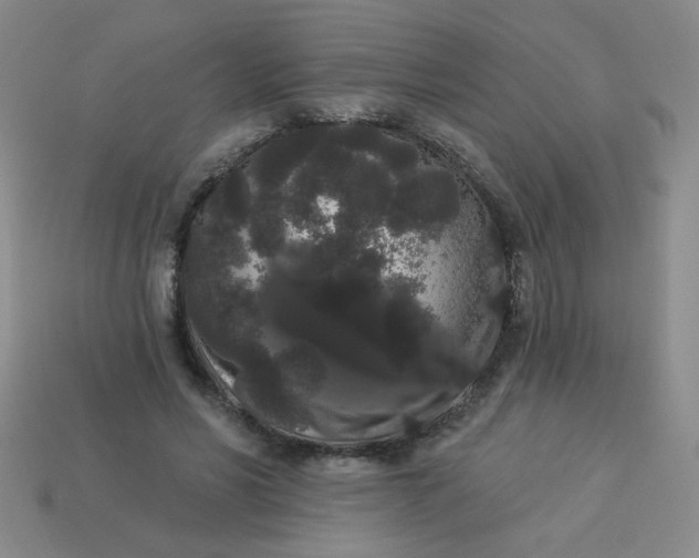 X0000113980590200910161624