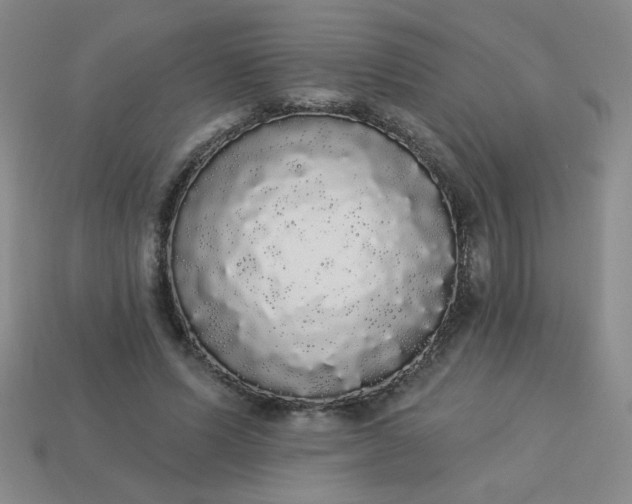 X0000113980591200910161624