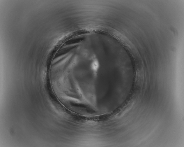 X0000113980592200910161624