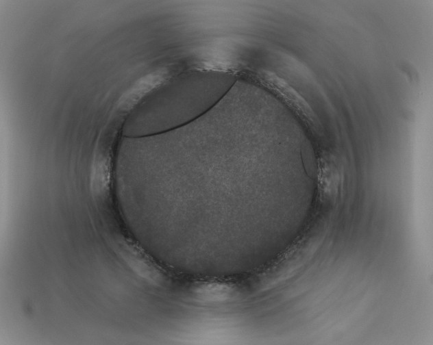 X0000113980593200910161624