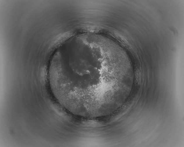 X0000113980594200910161624