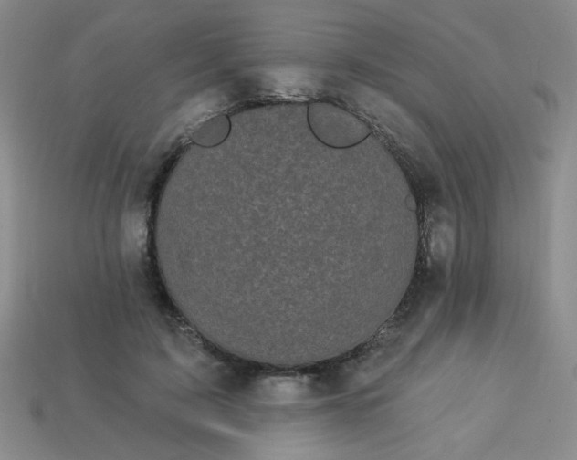 X0000113980595200910161624