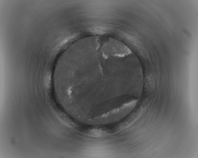 X0000113980596200910161624