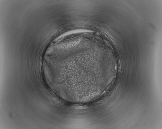 X0000113980597200910161624