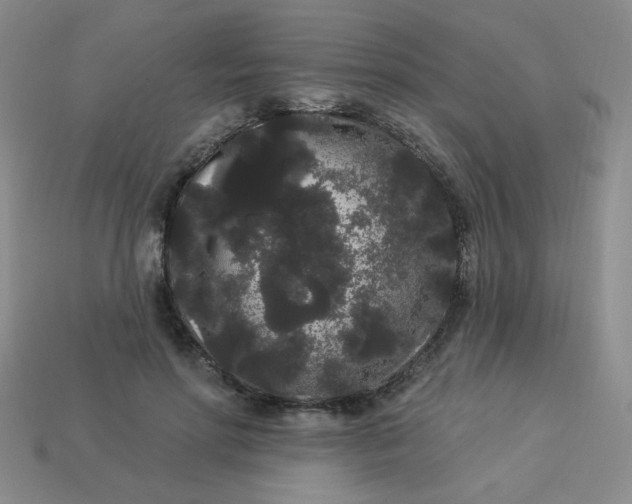 X0000113980598200910161624