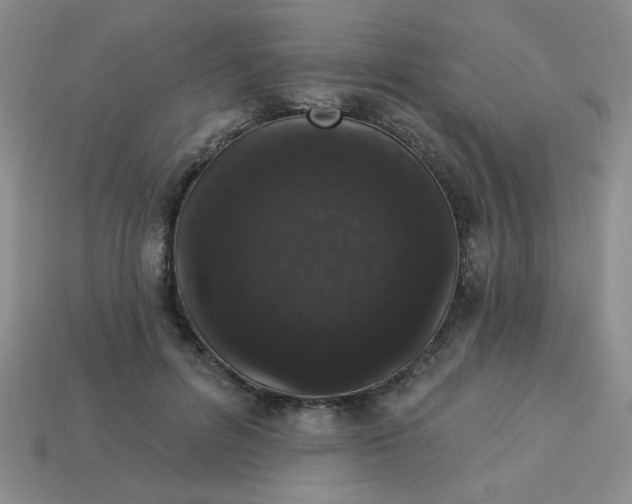 X0000113980600200910161624