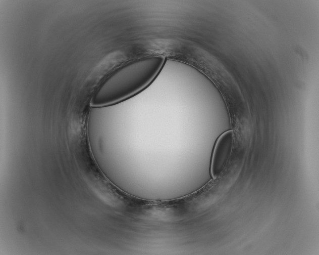 X0000113980601200910161624