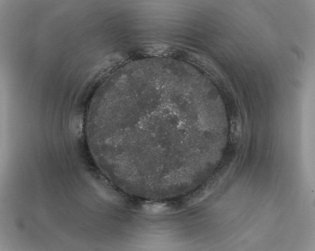 X0000113980602200910161624