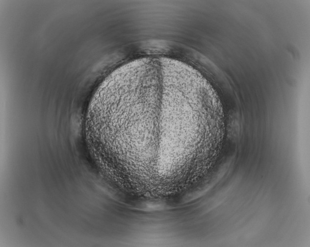 X0000113980604200910161624