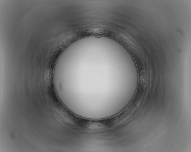 X0000113980605200910161624