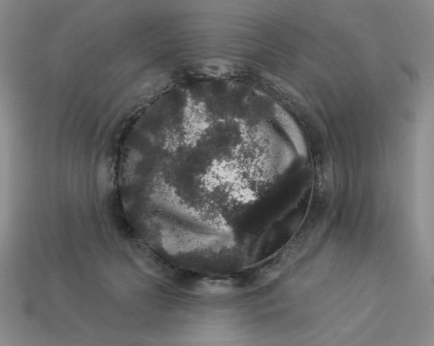 X0000113980606200910161624