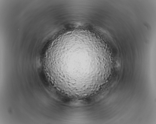 X0000113980607200910161624