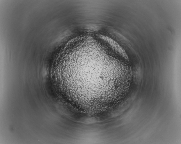 X0000113980608200910161624