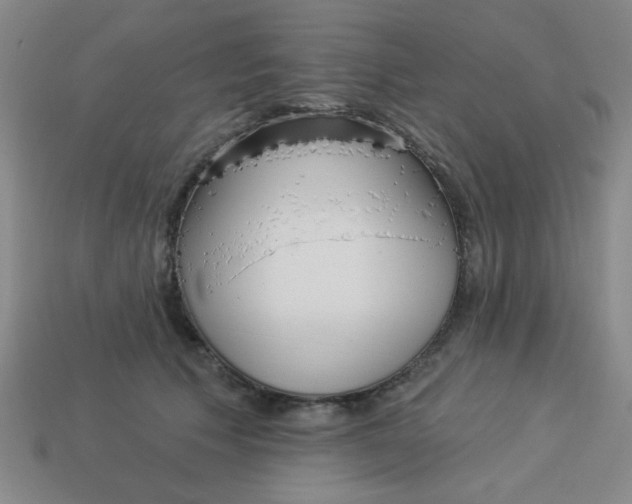 X0000113980609200910161624