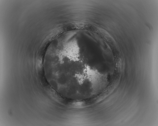 X0000113980610200910161624