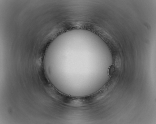 X0000113980611200910161624