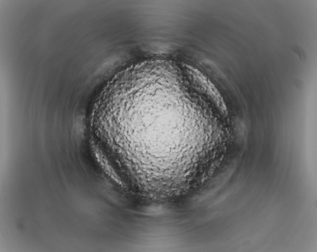 X0000113980612200910161624