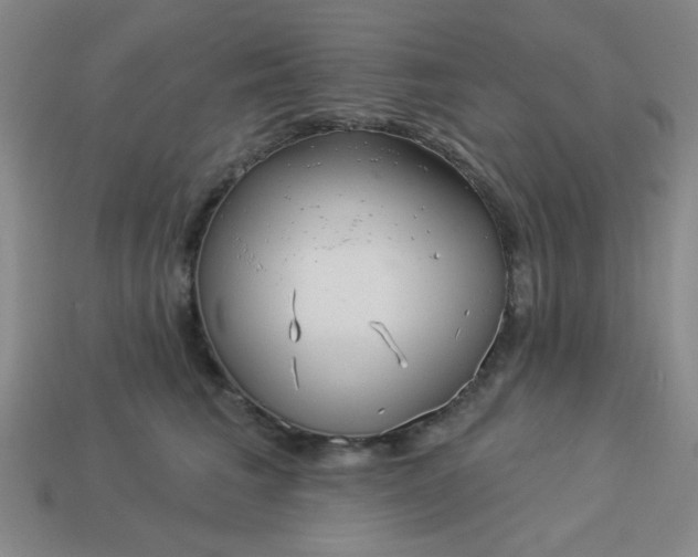 X0000113980613200910161624