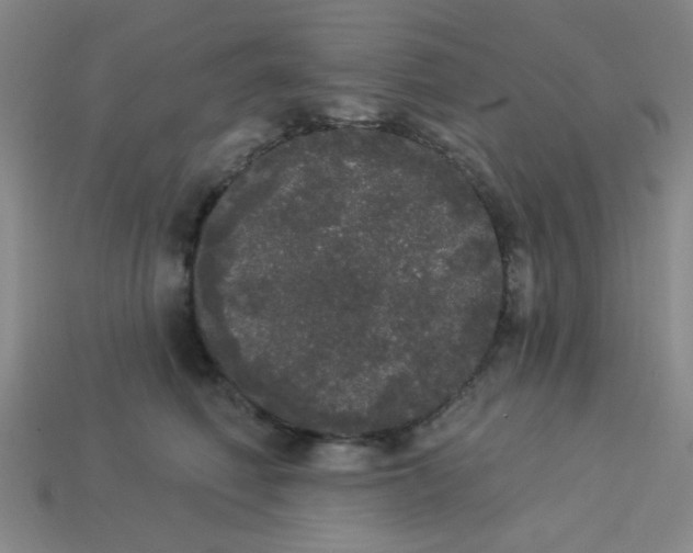 X0000113980614200910161624