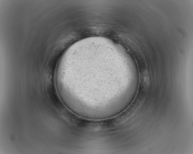 X0000113980615200910161624