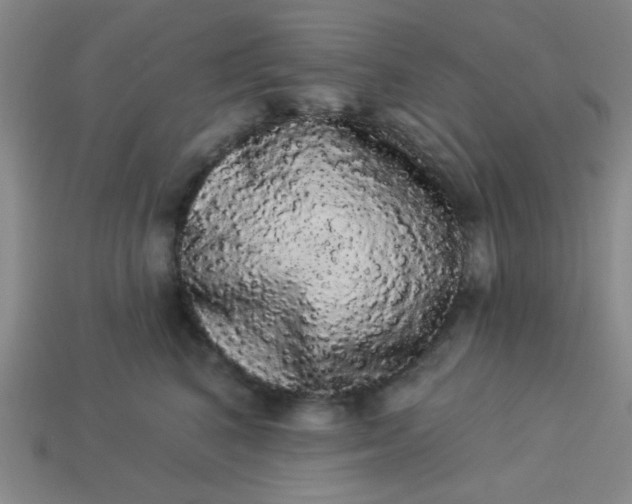 X0000113980616200910161624