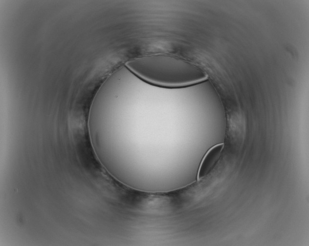 X0000113980617200910161624