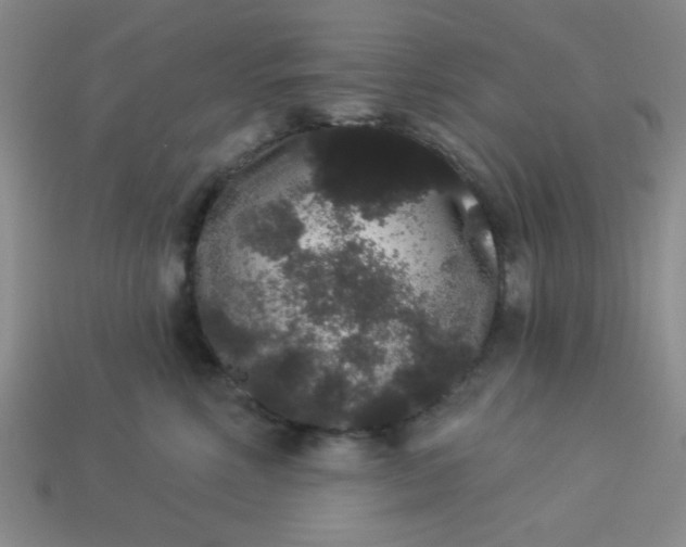 X0000113980618200910161624