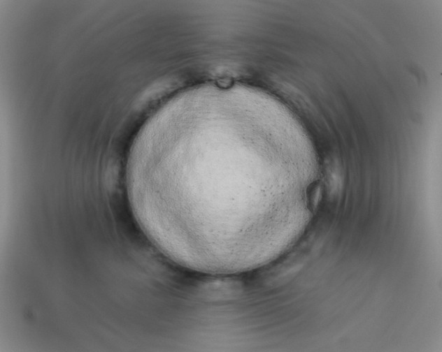 X0000113980619200910161624