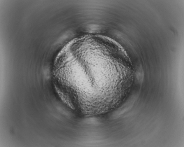 X0000113980620200910161624