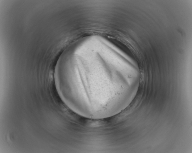 X0000113980621200910161624