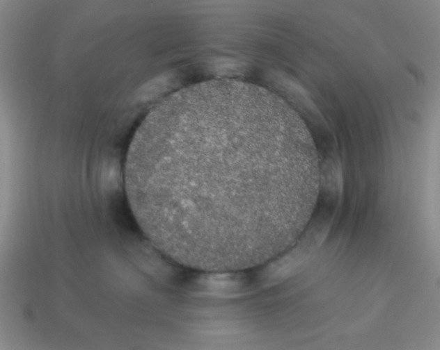 X0000113980622200910161624