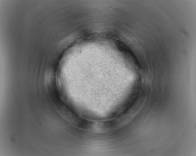 X0000113980623200910161624