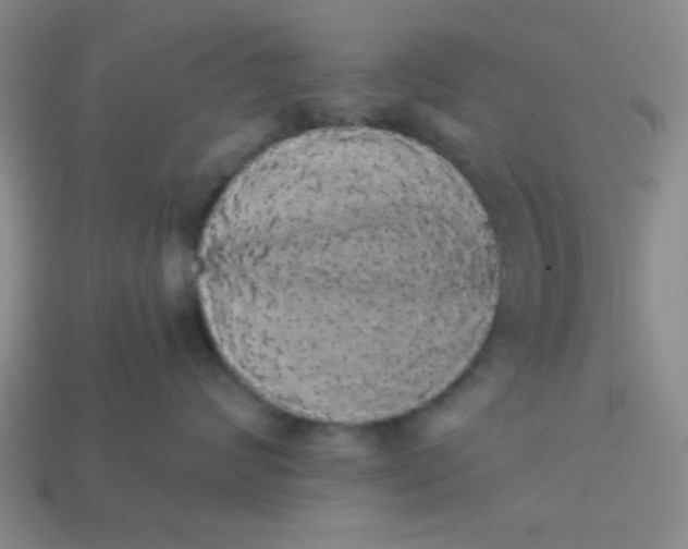 X0000113980624200910161624