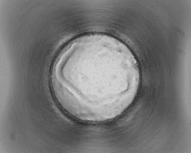 X0000113980625200910161623