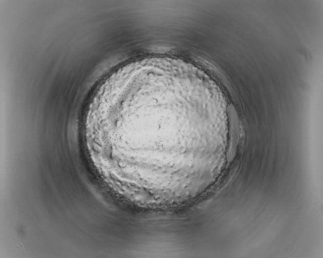 X0000113980626200910161623