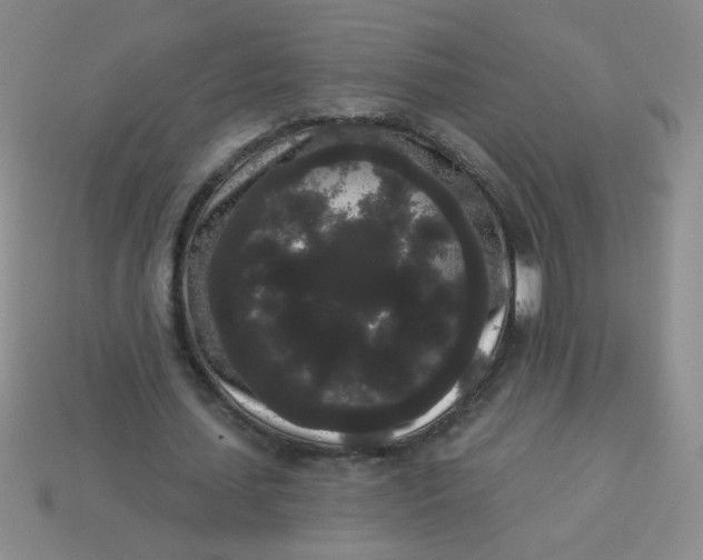 X0000113980627200910161623