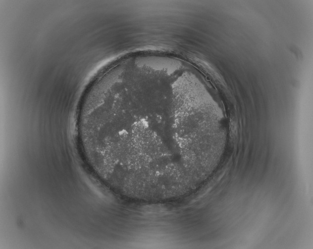 X0000113980628200910161623