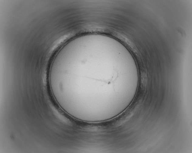 X0000113980629200910161623