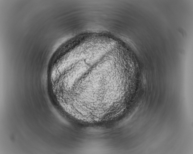 X0000113980630200910161623