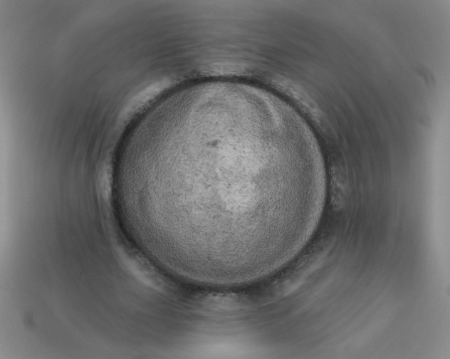 X0000113980631200910161623